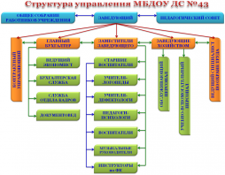 Структура управления МБДОУ ДС №43